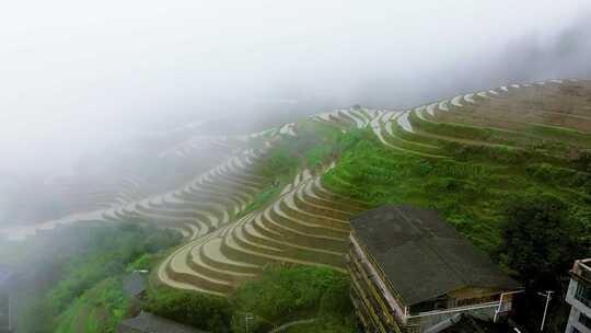 航拍广西桂林龙脊梯田高山云海壮丽风景