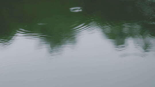 平静唯美雨景湖面雨滴视频素材模板下载