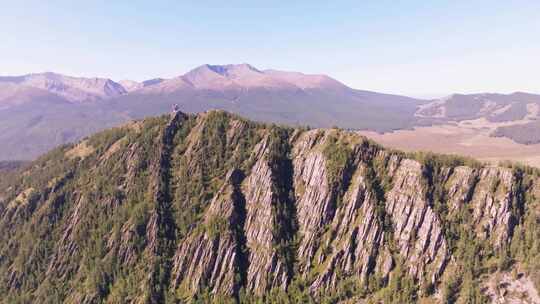 山坡森林观景台航拍