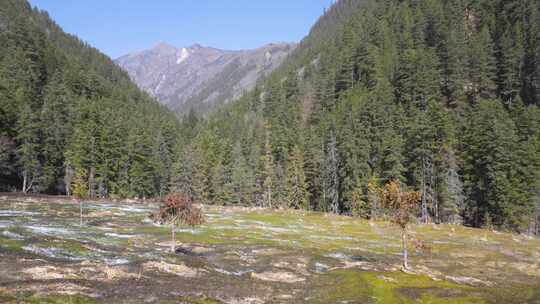 四川阿坝州九寨沟冬日山水