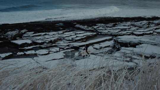 冲浪者，海岸，海洋，雪