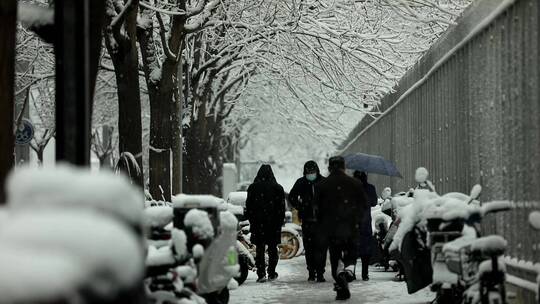 北京雪景视频素材模板下载