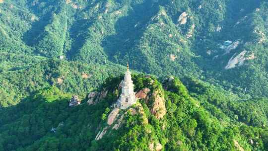 航拍绿色千山和大佛寺塔