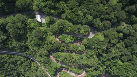 日本富士箱根伊豆国家公园蜿蜒山路鸟瞰图