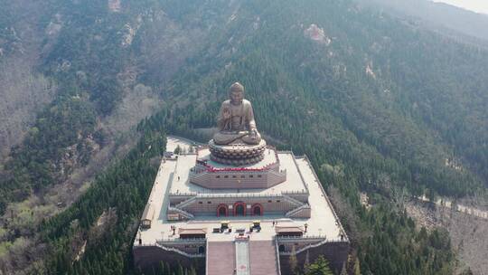 山东龙口南山景区南山大佛视频素材模板下载