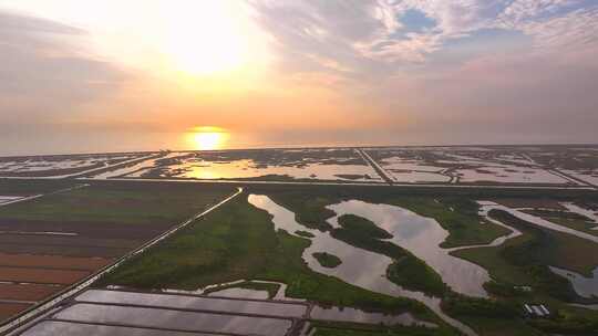 金色日出上海崇明岛东滩湿地全景