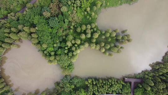 广州城市湿地公园航拍