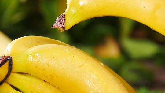 黄皮香蕉
