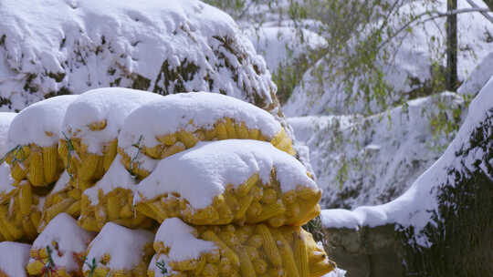 家乡的雪景、下雪的农村、扫雪