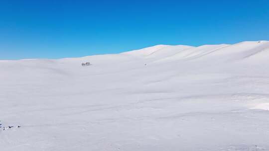 航拍内蒙古乌兰布统雪原孤独的树