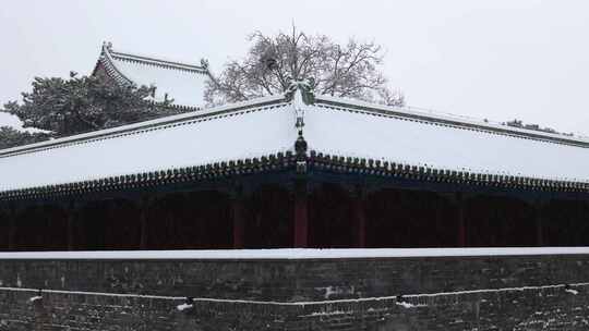 雪中的北京天坛公园