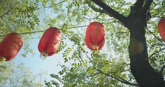 寺庙寺院祈福禅修禅意风景意境古建筑素材