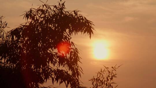 4k实拍夕阳日落唯美素材