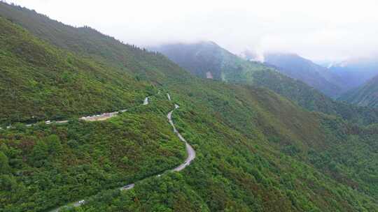 航拍四川巴朗山熊猫大道云雾缭绕的草原森林