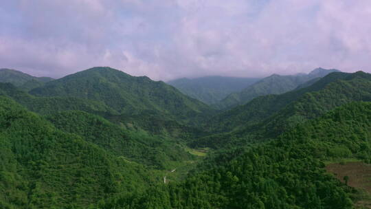 航拍绿色树木覆盖下的大山