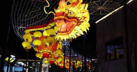 前进的道路上中国传统彩灯花灯龙灯