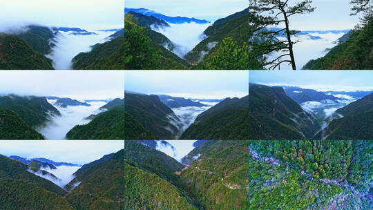4K浙江丽水 龙泉山大峡谷云海航拍高清在线视频素材下载
