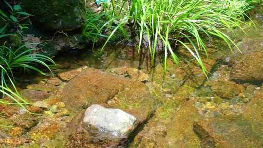 河边流水河流河水小溪山泉泉水流体液体水流