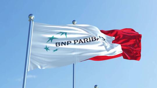 法国巴黎银行旗帜视频素材模板下载