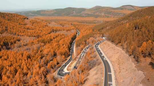 4K航拍河北承德塞罕坝机械林场公路风光