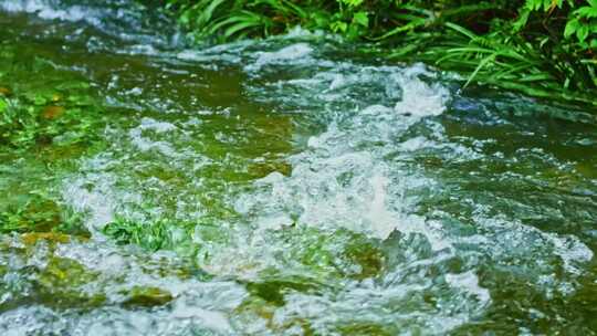 清澈干净小溪流水山泉水水资源