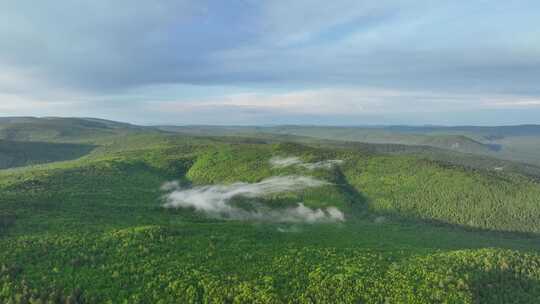 航拍大兴安岭绿色山岭苍茫林海