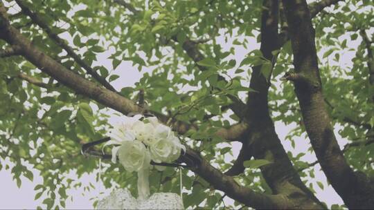 美丽的白色婚纱挂在树上倾斜移动