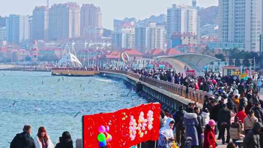 烟台滨海广场 海鸥