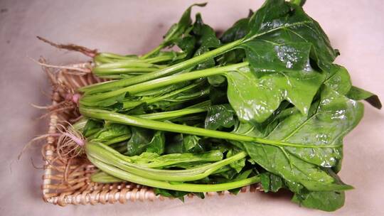 膳食纤维绿色蔬菜菠菜