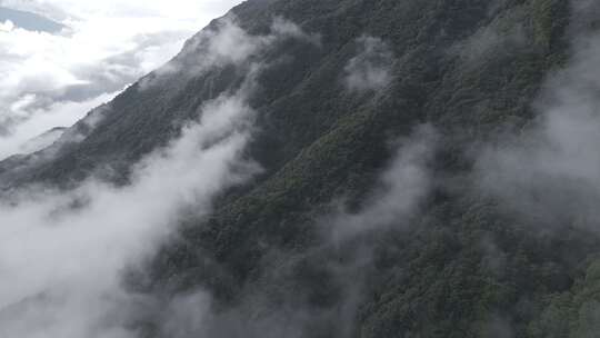 森林湖泊云海山川山脉云雾缭绕 青山绿水视频素材模板下载