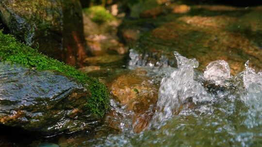 森林溪水流水花清澈山泉青苔藓小溪泉水