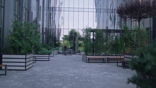 商业大楼前的植物视频素材模板下载
