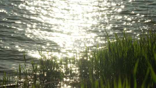 夕阳下波光粼粼的湖面