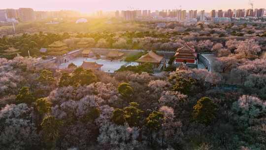 沈阳北陵公园