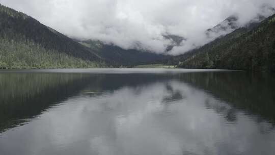 4k超清川西高原航拍湖泊牧场山谷牛群马匹