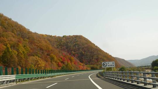 东北秋天公路风光