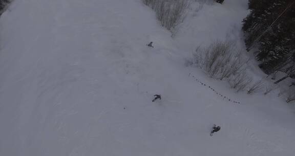 鸟瞰滑雪场滑行的游客们4K航拍素材