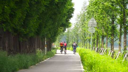 在公园街道骑单车