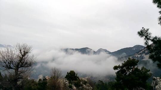 浓雾笼罩着山坡和山谷