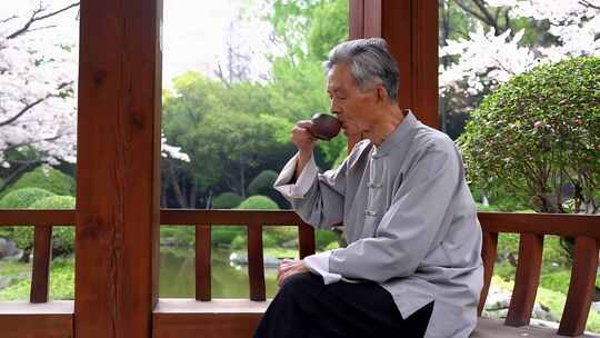 老人亭中品茶赏景