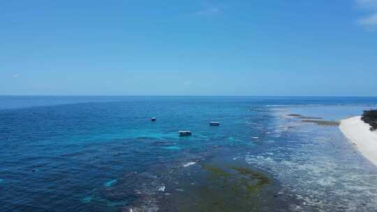 穿过大堡礁，看着停泊在热带岛屿蓝色水域中的水肺潜水船