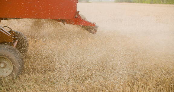 联合收割机收获小麦