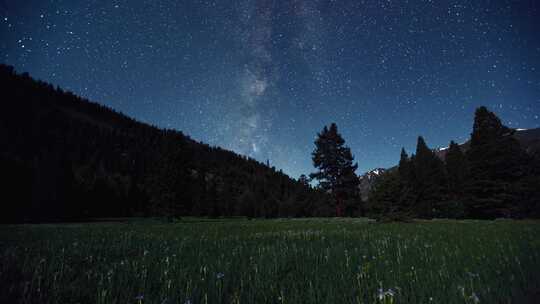 夜空星辰 山脉松树延时