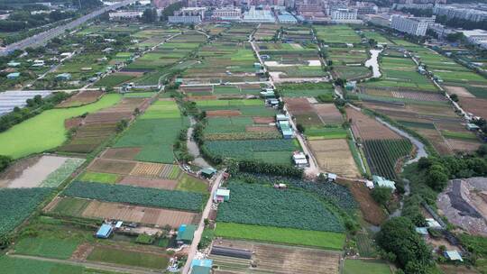 大面积农业农田航拍