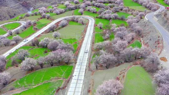 西藏桃花节公路航拍