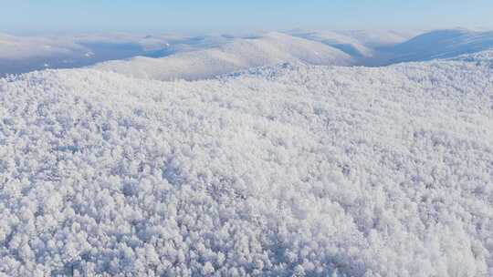 大兴安岭林海雪原雾凇250101-84