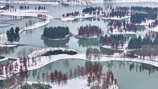 航拍湿地公园雪景树林湖岛