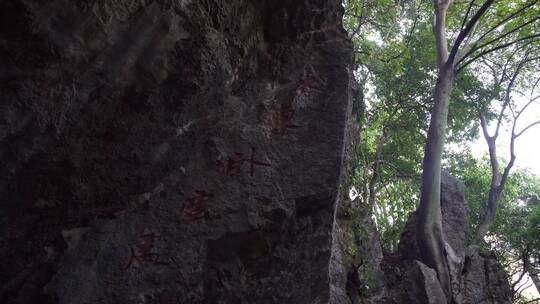 杭州玉皇山景区紫来洞