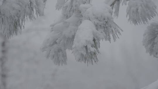 冬天雪景 雪景意境