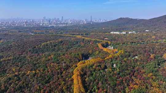 江苏南京中山陵灵山风景区音乐台秋色航拍